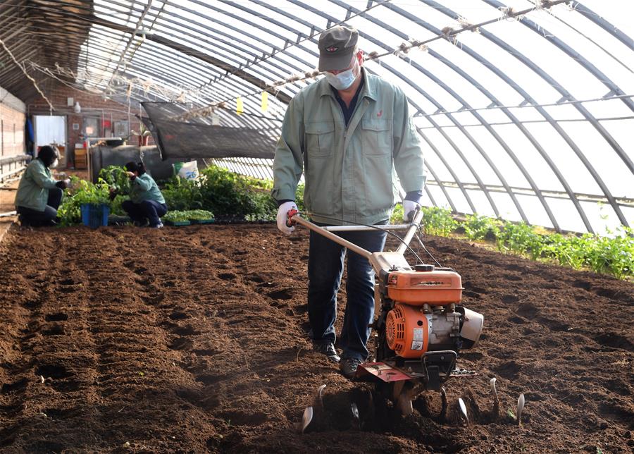 (經(jīng)濟)(1)北京豐臺:防疫生產(chǎn)兩不誤