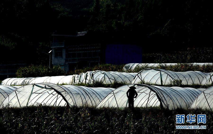 #(視·覺)(1)烈日下的身影