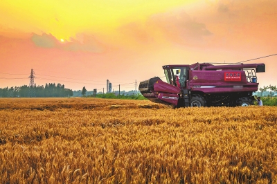 從“大糧倉”到“大餐桌” 培育“三農”新動能河南腳步鏗鏘