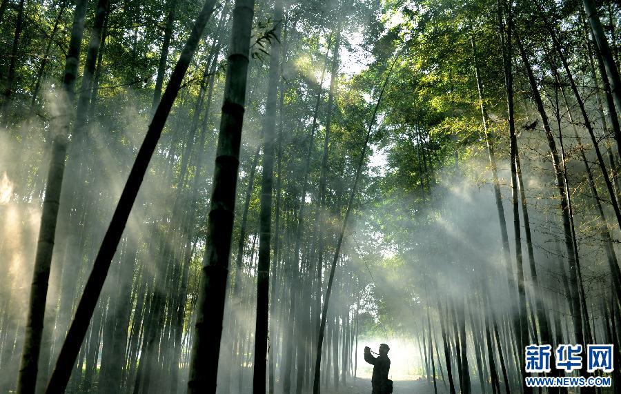 (美麗中國)(6)千年古縣南鄭 山青水秀多嬌 (美麗中國)(6)千年古縣南鄭 山青水秀多嬌