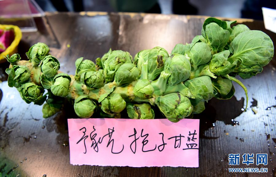 河南農(nóng)大園藝文化節(jié):羅卜白菜都是水果味! 河南農(nóng)大園藝文化節(jié):羅卜白菜都是水果味!
