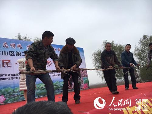 岳陽君山野生荷花世界驚現長5.4米“藕王”