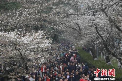 聚焦“爆滿”的暑期高校游:不是景區勝似景區