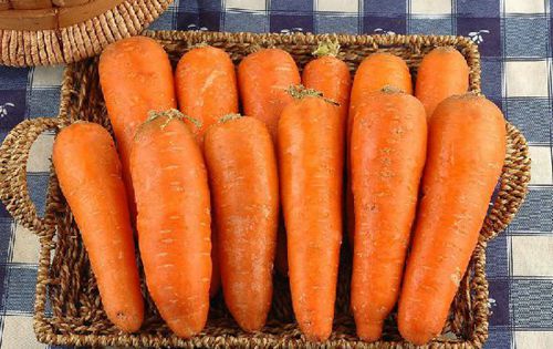 腦白金都弱爆了,多吃這15種天然食物才最補腦!