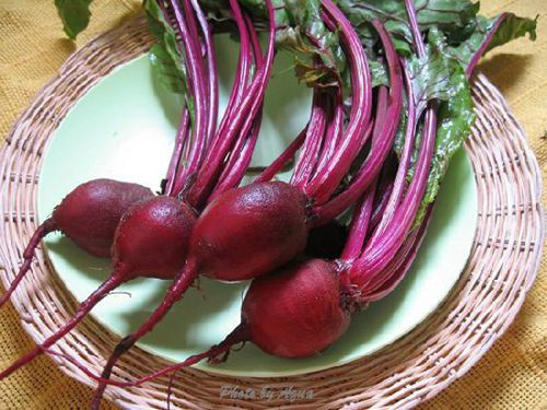 腦白金都弱爆了,多吃這15種天然食物才最補腦!