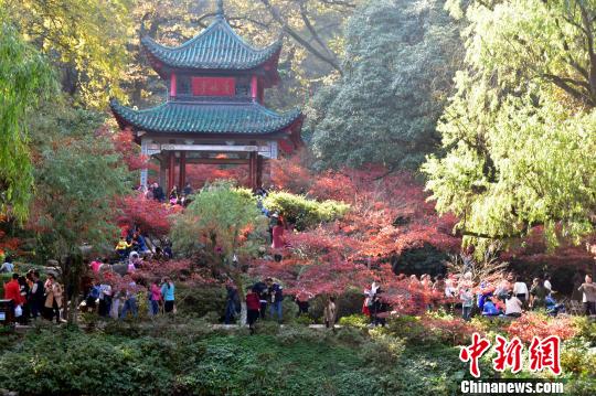 長(zhǎng)沙岳麓山楓葉迎觀賞期游客扎堆