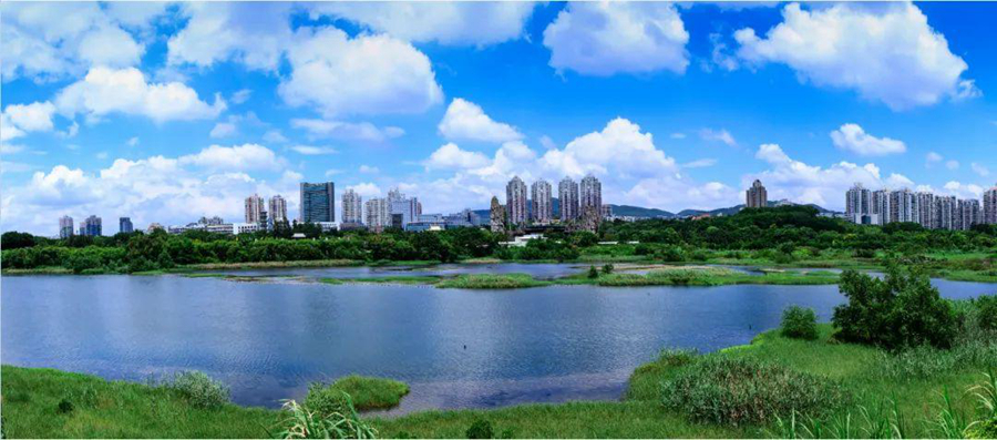 廣東深圳華僑城國家濕地公園2.jpg