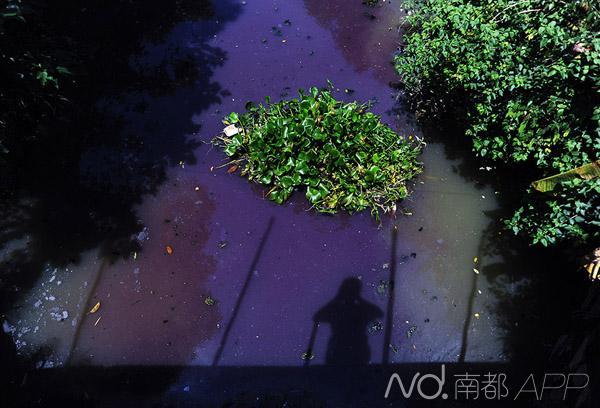 東莞猛藥治污:政府近10億獎(jiǎng)勵(lì)污染企業(yè)退出