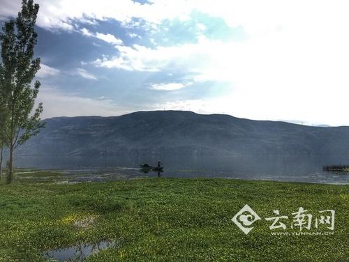 洱海拆除違建戶156戶關停餐飲客棧515戶