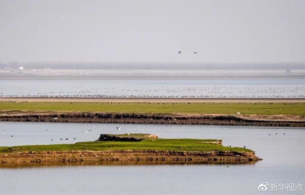 習近平的長江情懷