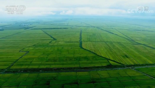 農村改革