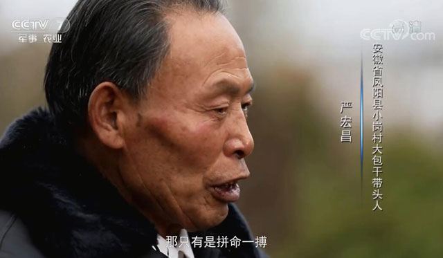 農村改革