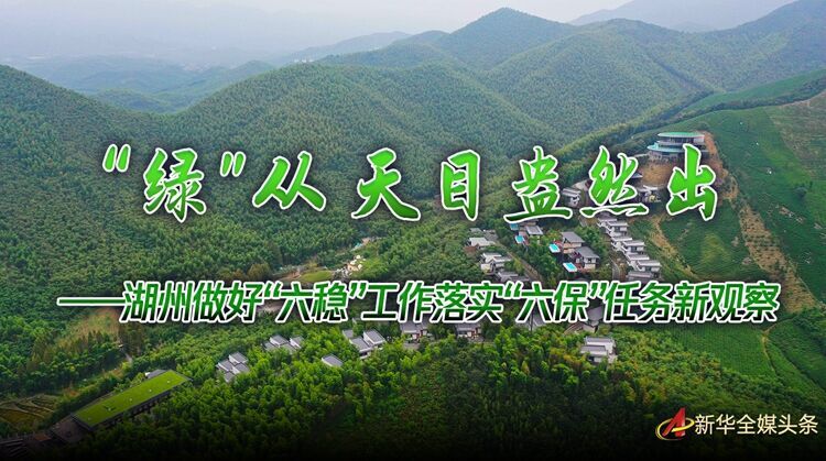 “綠”從天目盎然出——湖州做好“六穩”工作落實“六保”任務新觀察