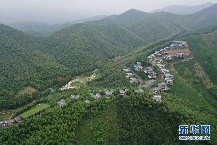 “綠”從天目盎然出——湖州做好“六穩”工作落實“六保”任務新觀察