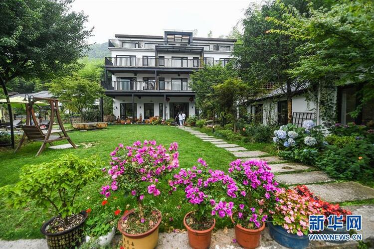 “綠”從天目盎然出——湖州做好“六穩”工作落實“六保”任務新觀察