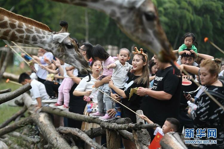 “綠”從天目盎然出——湖州做好“六穩”工作落實“六保”任務新觀察