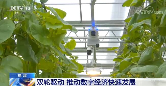 福建在數字產業化和產業數字化兩方面“雙輪驅動” 推動數字經濟快速發展