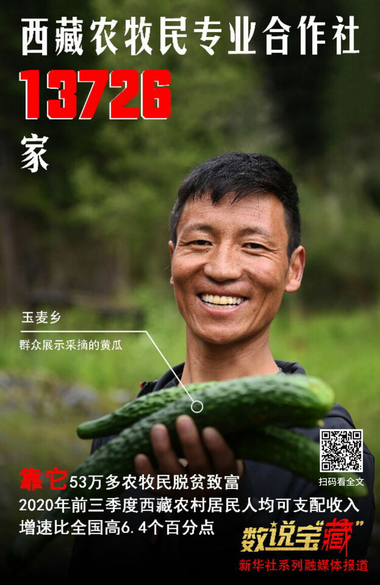 從這組數(shù)說寶“藏”海報,看西藏今日幸福生活