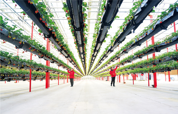 國家發(fā)展改革委談“十四五”時期的指導(dǎo)方針和主要目標(biāo)