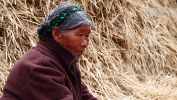 這些西藏姑娘,為什么叫卓瑪?答案太美了……