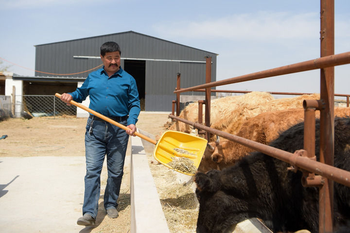 新華全媒+|沿著高速看中國|穿沙公路作紐帶 昔日大漠通四海