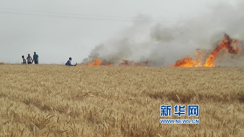 #(新華網)(2)山東桓臺:麥田起火