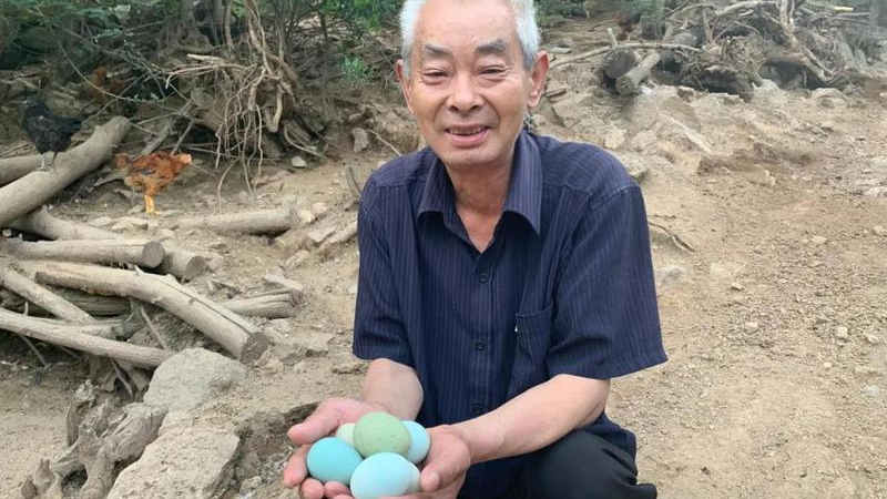 淶源雞蛋.jpg
